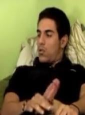 Van Wilder