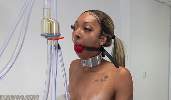 ⁣Hucows 26 01 17 thiccy niccy on the treadmill